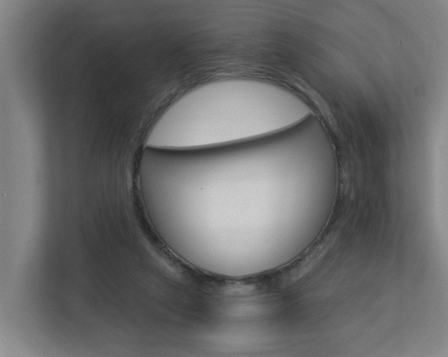 X0000112720257200908200952