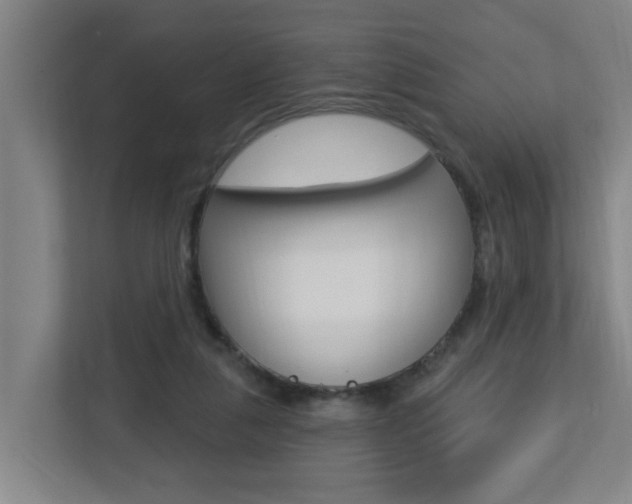 X0000112720259200908200952