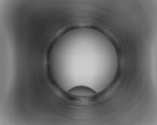 X0000112720260200908200952