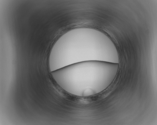 X0000112720261200908200952
