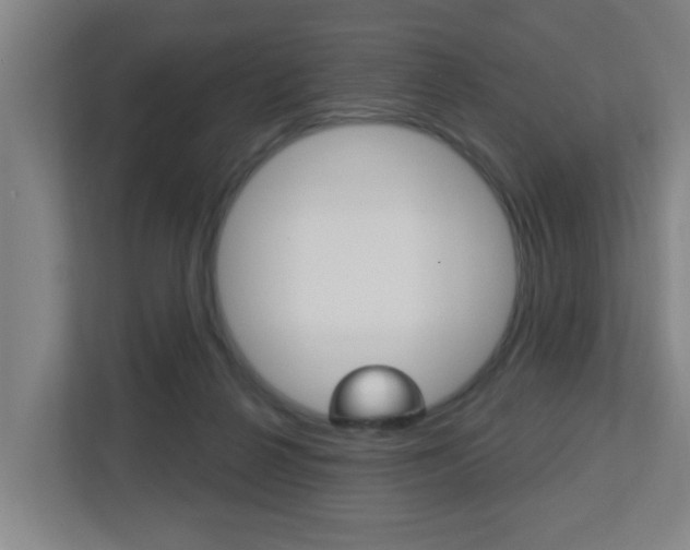 X0000112720264200908200952