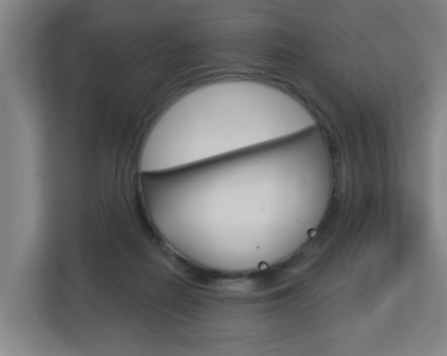 X0000112720266200908200952