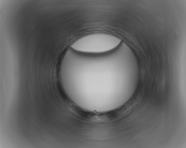 X0000112720270200908200952