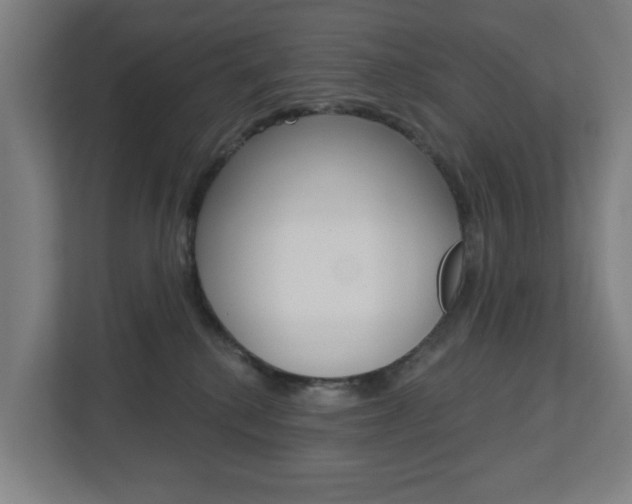 X0000112720280200908200952