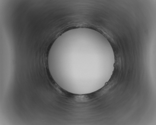 X0000112720281200908200952
