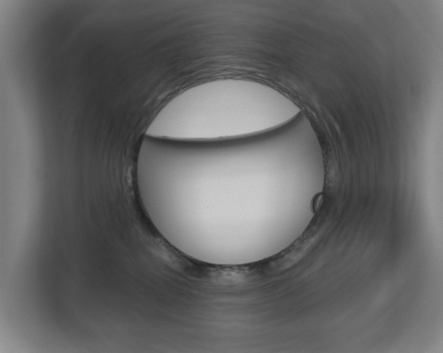 X0000112720282200908200952