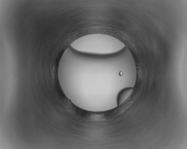X0000112720283200908200953