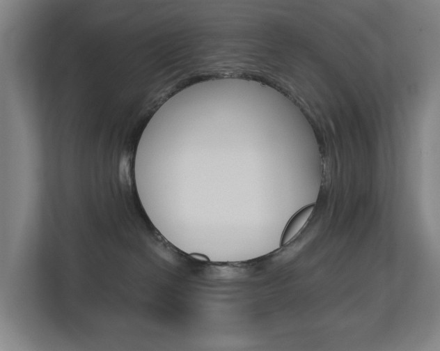 X0000112720286200908200953