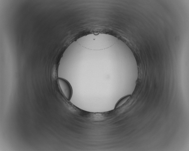 X0000112720287200908200953
