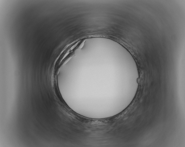 X0000112720290200908200952