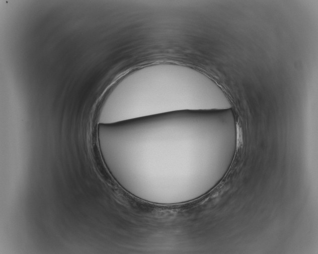 X0000112720291200908200952