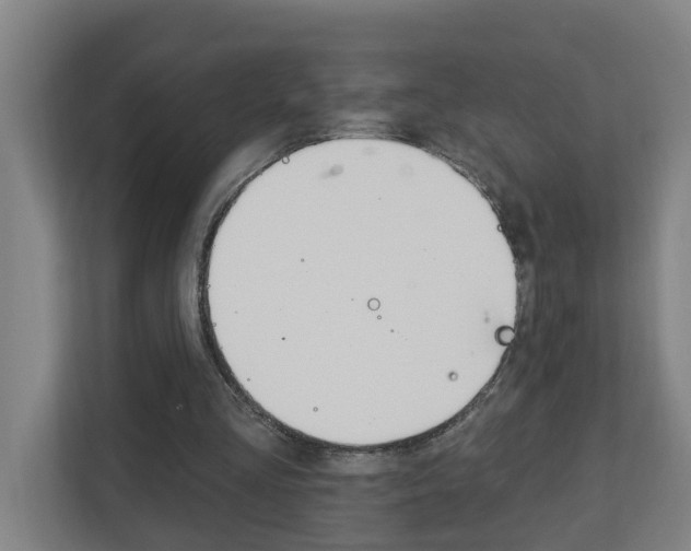 X0000112720293200908200952