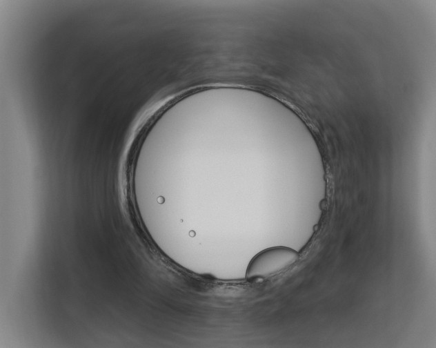 X0000112720294200908200952