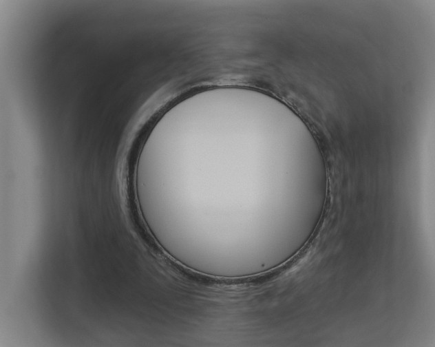 X0000112720295200908200952