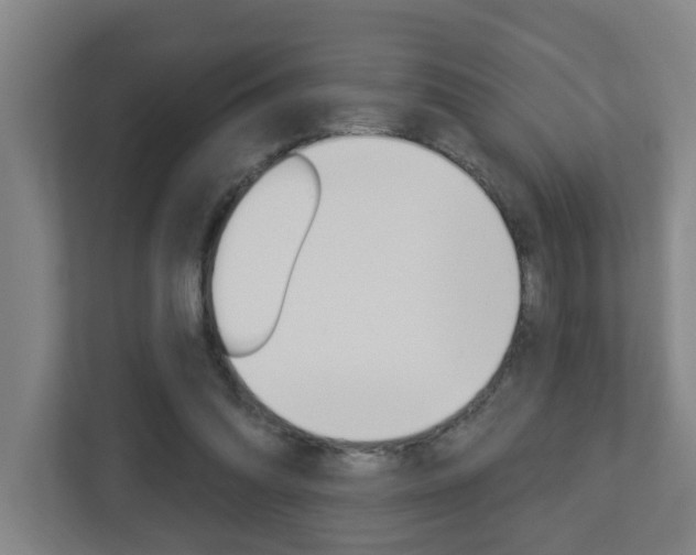 X0000112720302200908200952