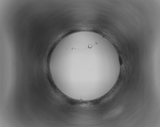 X0000112720306200908200952