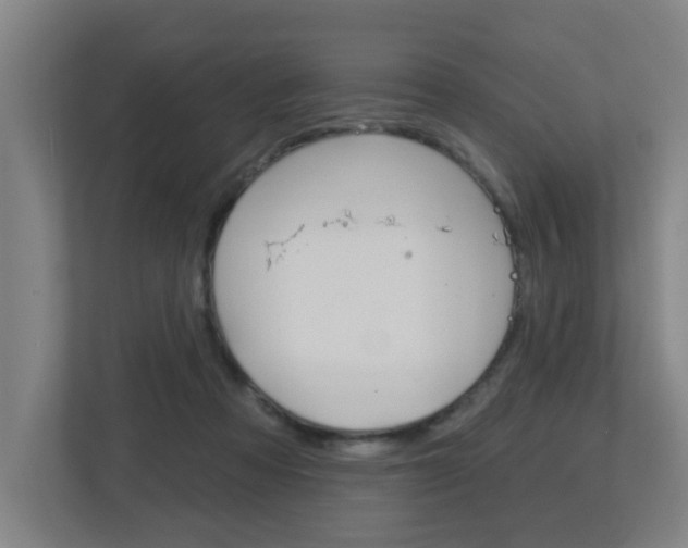 X0000112720313200908200952