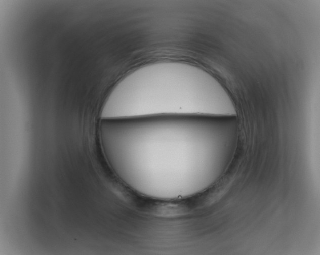 X0000112720315200908200952