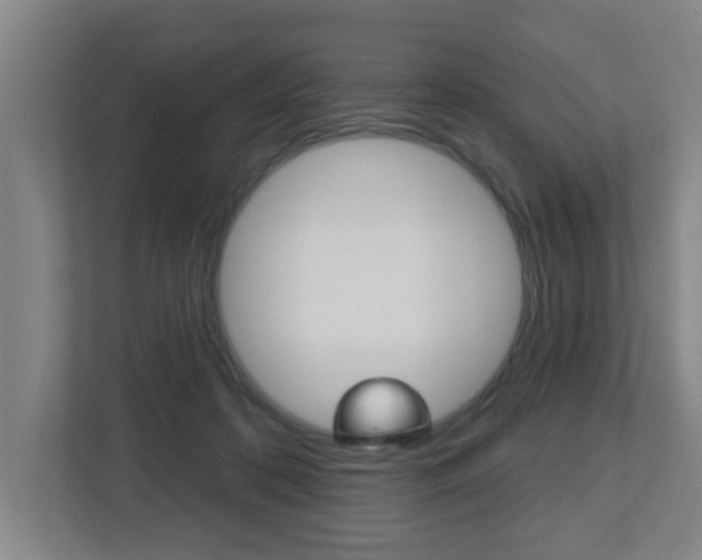 X0000112720316200908200952