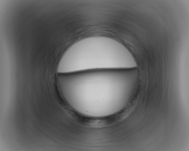 X0000112720319200908200952