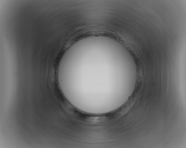 X0000112720323200908200952