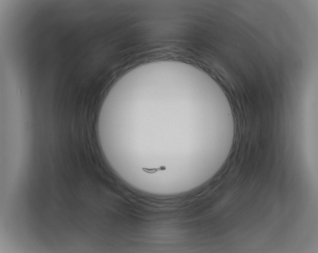 X0000112720324200908200951