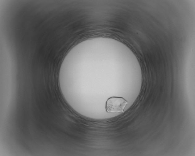 X0000112720328200908200951
