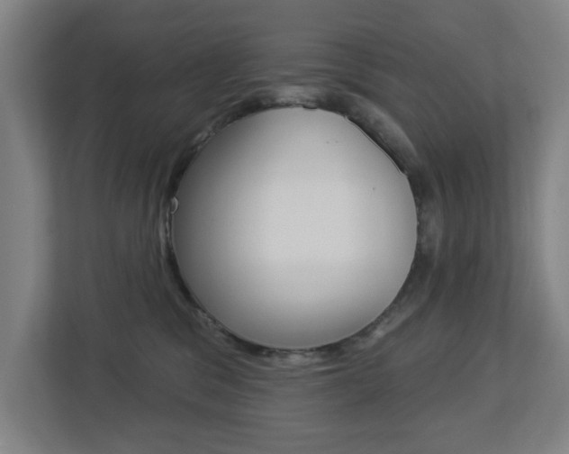 X0000112720329200908200951