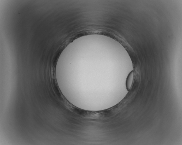 X0000112720330200908200951