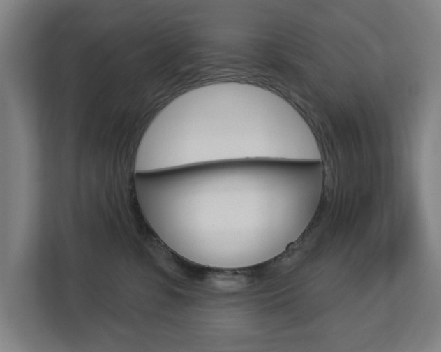 X0000112720331200908200951