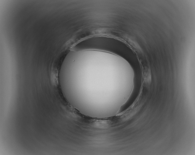 X0000112720332200908200951