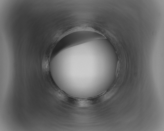 X0000112720336200908200951