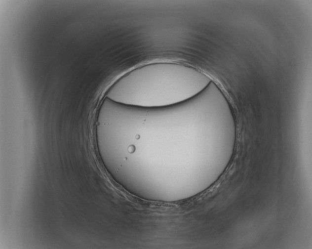 X0000112720337200908200951