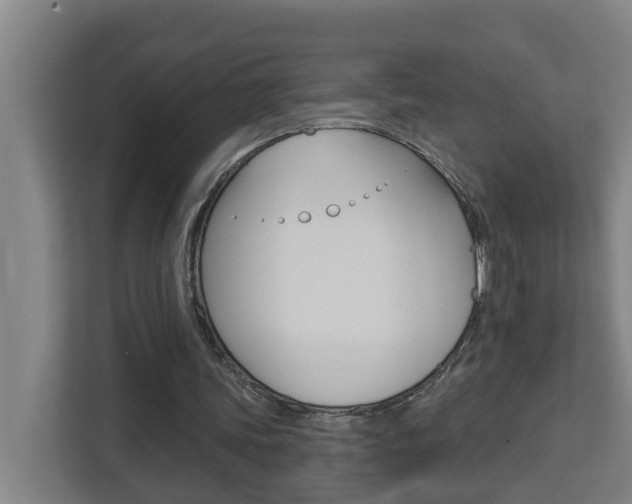 X0000112720339200908200951