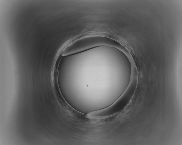 X0000112720340200908200951