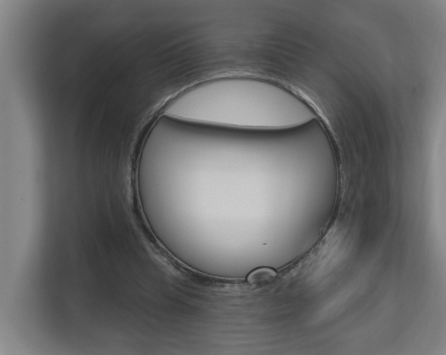 X0000112720345200908200951