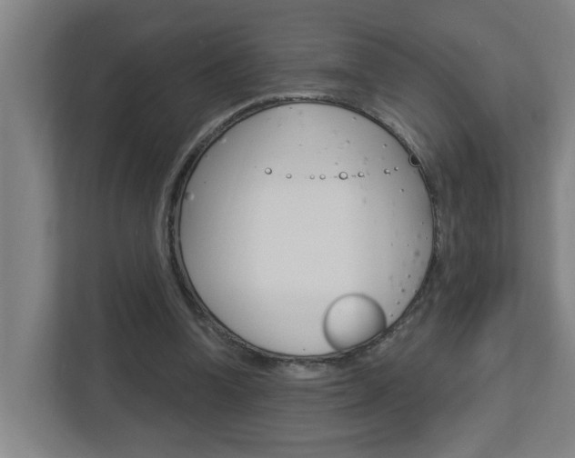 X0000112720346200908200951