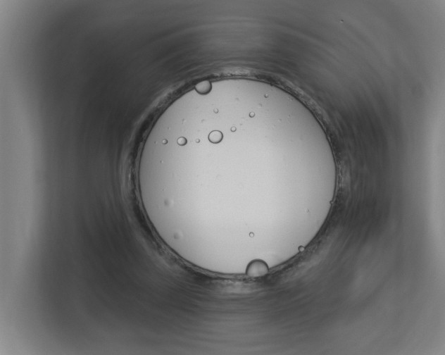 X0000112720347200908200951