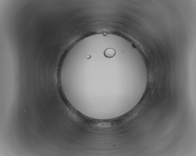 X0000112720353200908200951