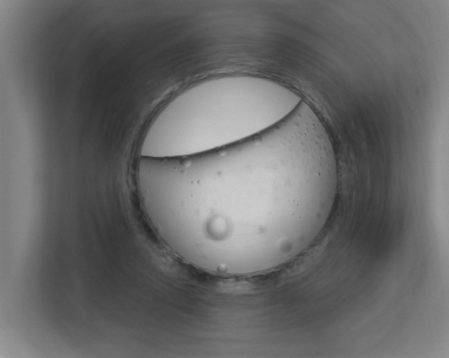 X0000112720354200908200951