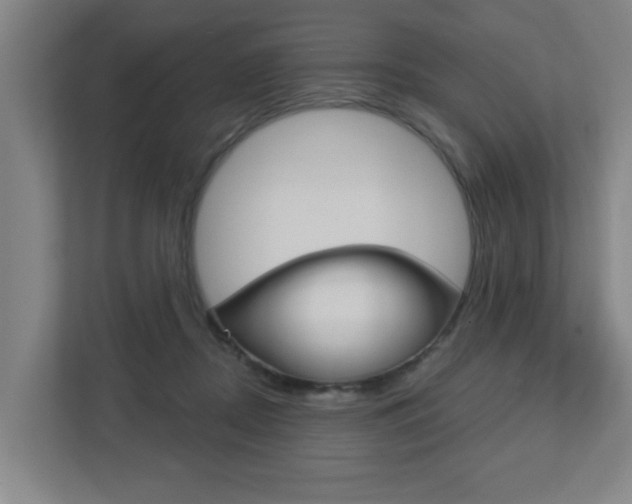 X0000112720362200908200951