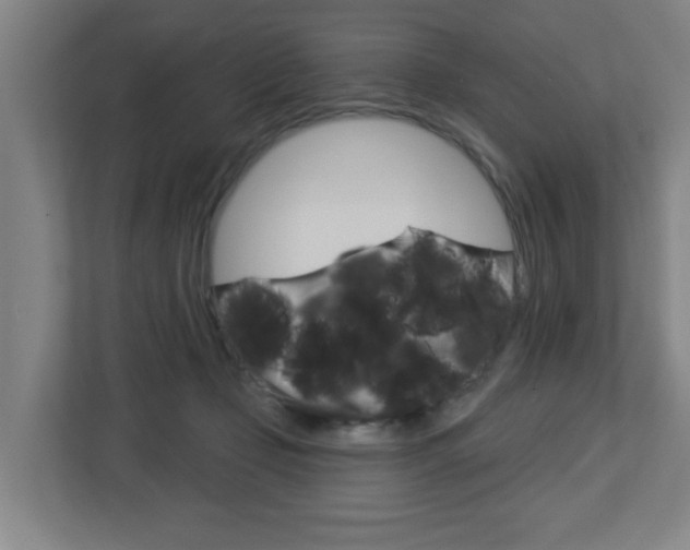 X0000112720365200908200951