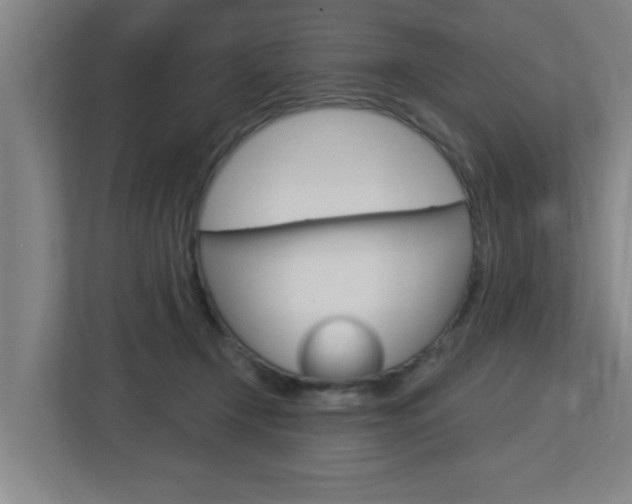 X0000112720366200908200951