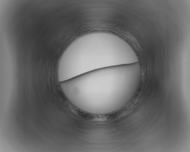 X0000112720369200908200951