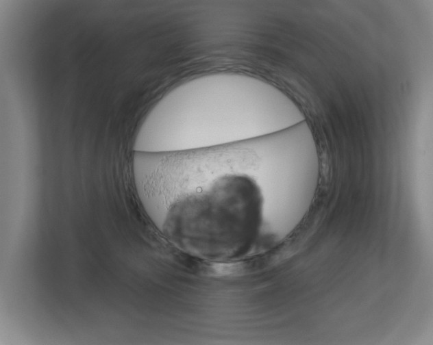 X0000112720371200908200951