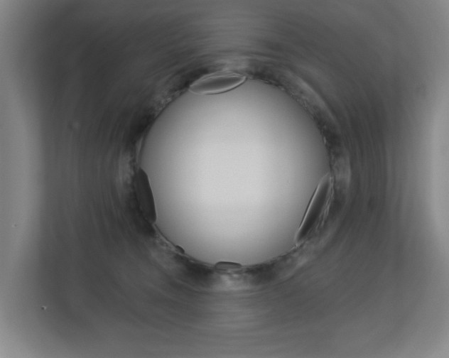 X0000112720372200908200951