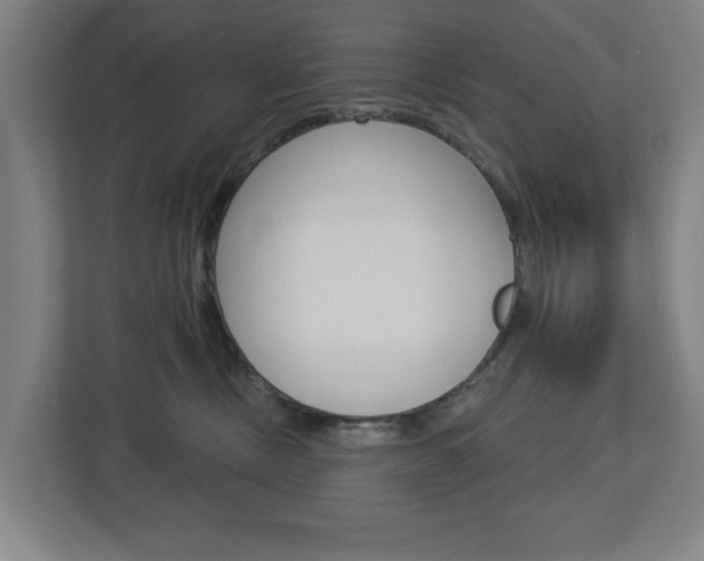 X0000112720378200908200951