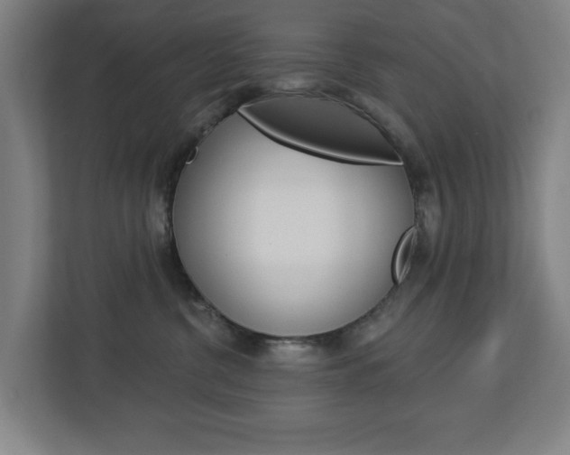 X0000112720380200908200951