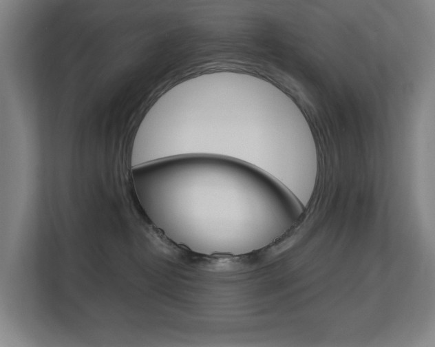 X0000112720382200908200951