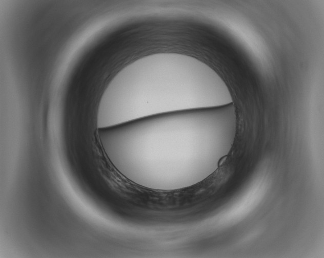 X0000112720383200908200951